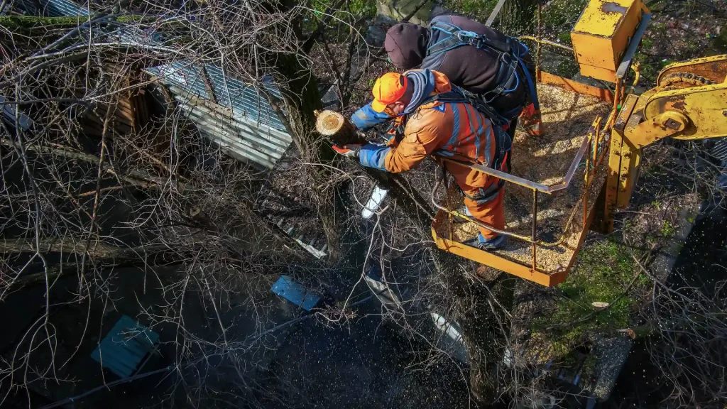 Axel tree services Lorain OH-5-emergency tree service 2
